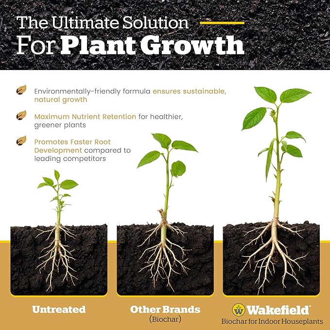 Blend for Cactus & Succulent – Premium Organic Cactus Soil with CarbonBoost Technology for Enhanced Growth – Specialized Soil Mix for Succulents Indoor Plants – 2 Quarts