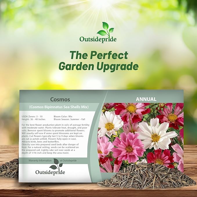 Outsidepride 500 Seeds Annual Cosmos Bipannatus Sea Shells Cut Flower Seed Mix for Planting