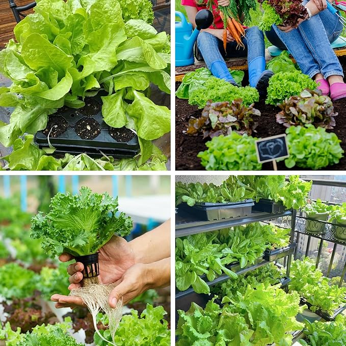 4000+ Leafy Greens Seeds, 10 Varieties of Veggies Seeds for Planting, Heirloom Seeds Gift Pack, Garden Seeds Kit for Indoor Outdoor Growing, Home Fresh Food Supply, Non-GMO