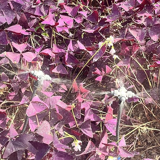 Drip Irrigation Kit,Automatic Garden Watering System with New Quick Connectors and 360-degree Bending Dropper Cross Atomization Nozzles for Watering System for Garden Plant Lawn Patio.(Cross Nozzles)