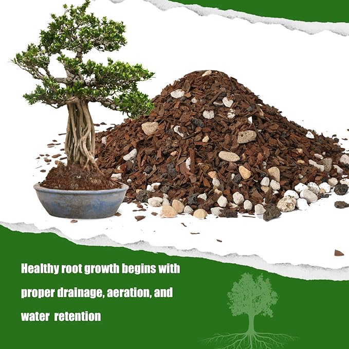 Bonsai Soil Mix Ready to Use (10qt), Premium Fast Draining Organic All Purpose Potting Mix for All Varieties of Bonsai