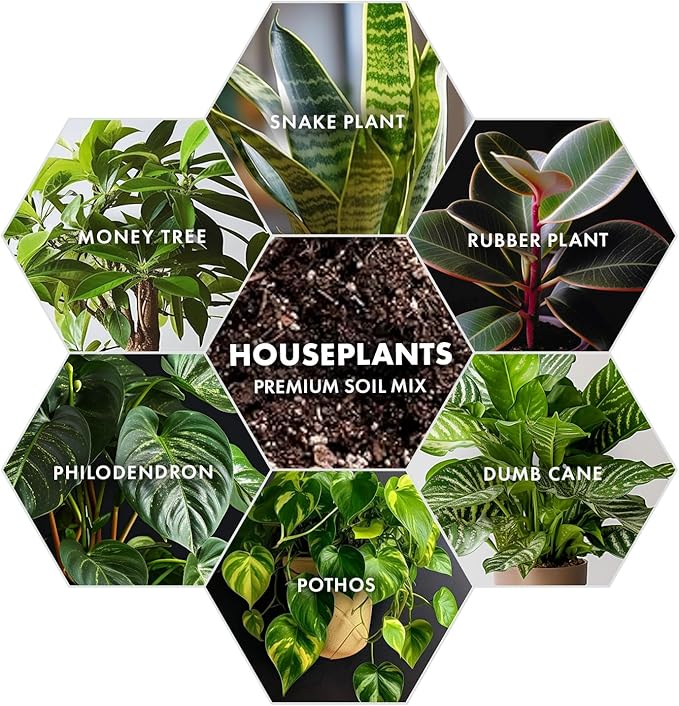 Premium Houseplant Soil Mix for Indoor & Outdoor Plants - Potting Soil for Monstera, Pothos, Snake Plants & More - Organic Blend for Thriving Plant Growth -Potting Soil Indoor Plants Indoor Plant Soil