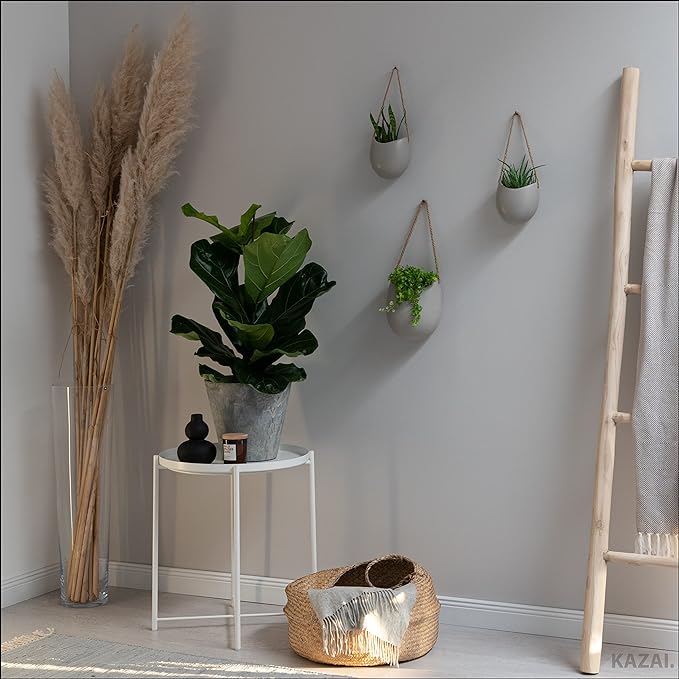 Wall Planters -Ellie- | Hanging Ceramic Plant Pots 3 Pieces | Wall Decoration for Indoors, Balcony and Garden | Light Grey (Matte)