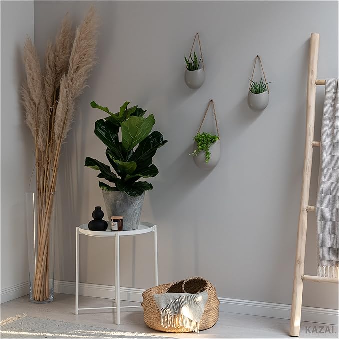 Wall Planters -Ellie- | Hanging Ceramic Plant Pots 3 Pieces | Wall Decoration for Indoors, Balcony and Garden | Light Grey (Matte)