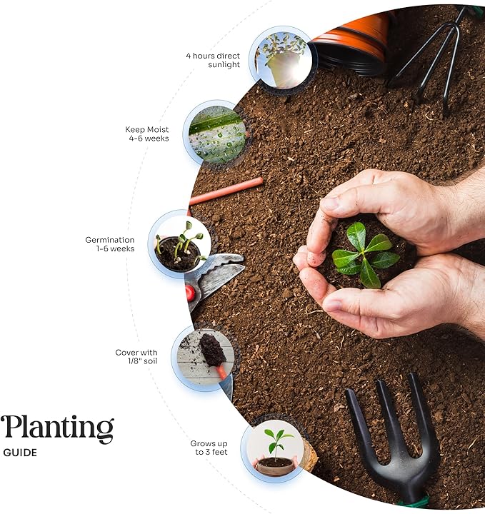 50 pcs Large Purple Butterflies – Plantable Seed Paper for Weddings, Gifts, and Life Events (#45s)