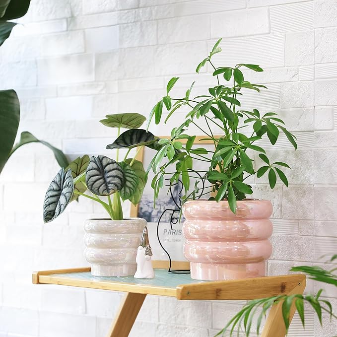 7.8 Inch + 5.7 inch 2 pcs Ceramic Plant Pots for Indoor Plants, Rainbow Pearl Glaze Planter with Planters for Plants with Drainage Hole, Orchid Pots, Succulent Pot, Flower Pot (White)