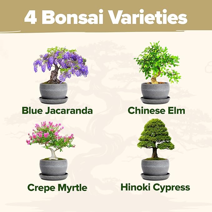 HOME GROWN Bonsai Tree Kit – Easy to Grow 4 Species of Bonsai w/Our Complete Plant Kit: Bonsai Pots & Peat Pellets Including a Bonus in-Depth Grow Guide - Great Gardening Gifts for Women and Men