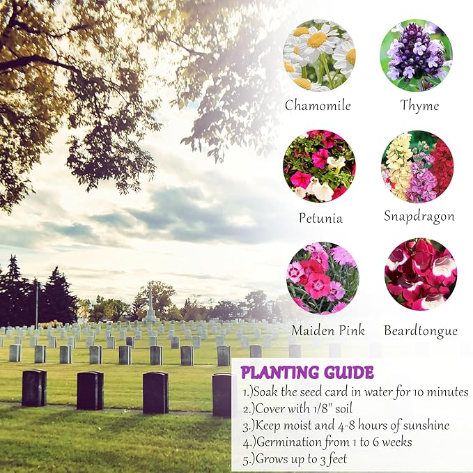 Set of 6 Seed Paper – 6 Purple Butterflies & 6 White Pots with Bow for Weddings & Life Events