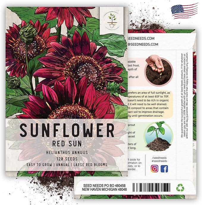 Seed Needs, Red Sun Sunflower Seeds - 120 Heirloom Seeds for Planting Helianthus annuus - Great Cut Flowers, Attracts Butterflies/Pollinators (1 Pack)