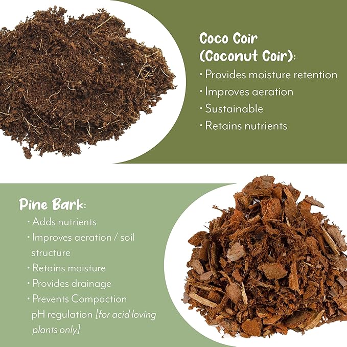 Aroid Plant Potting Soil Mix (4 Quarts), for Pothos Devil's Ivy, ZZ Plant, Chinese Evergreen, Dumb Cane, Philodendron, Syngonium, Alocasia, Colocasia Etc.