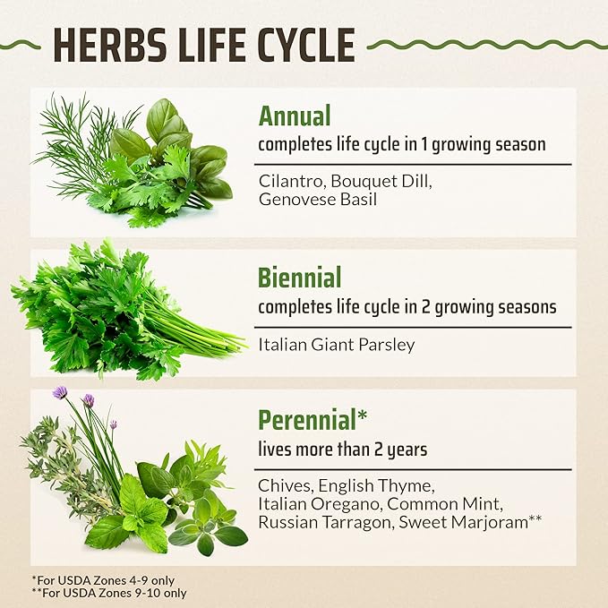 Rooted Acre Culinary Herb Seed Vault - Herbs Seeds for Planting Indoor or Outdoor Garden - Heirloom, Non GMO | Hydroponic Herb Garden Seeds with High Germination