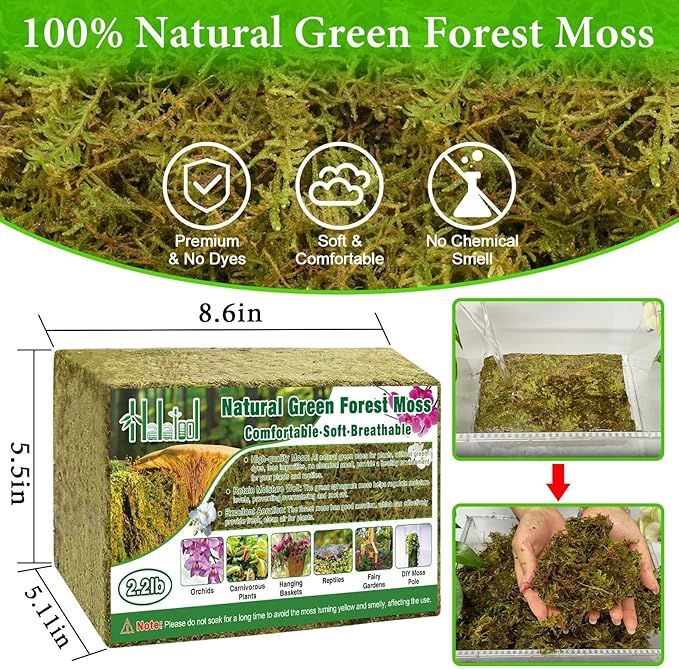 Halatool 2.2LB Forest Moss for Plants Indoor, 50QT Orchid Moss for Potting Mix, Natural Dried Sphagnum Moss Bulk for Moss Pole Succulents Garden Flowers Reptiles