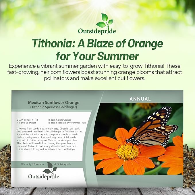 Outsidepride Goldfinger Mexican Sunflower Seeds - 500 Pcs Annual, Easy-to-Grow, Orange Tithonia Speciosa Flower Seeds w/Drought-Tolerant Blooms for Pollinator Gardens & Vibrant Summer Landscaping