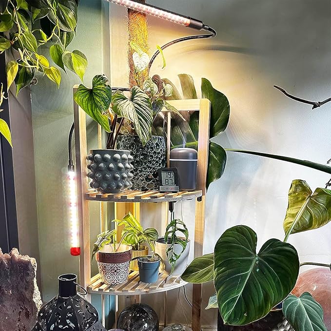 Grow Lights for Indoor Plants Full Spectrum, 2000 Lumens LED Grow Lights, 100W Plant Lights for Indoor Growing, 84 LEDs Clip on Plant Growing Lamps for Seed Starting Seedlings Precision Timer