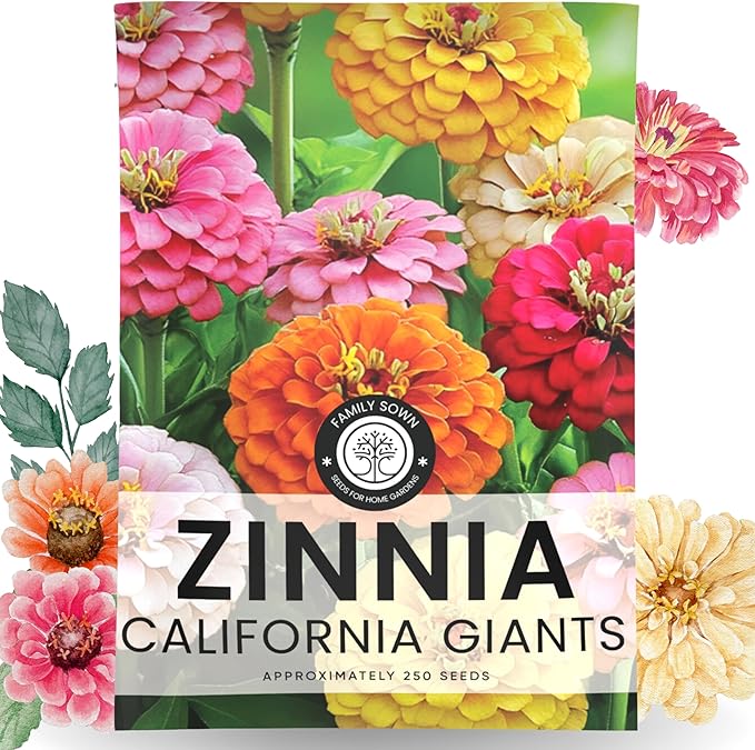 Zinnia California Giants - Large 2,500mg Envelope - 250 Flower Seeds for Planting - Zinnia elegans