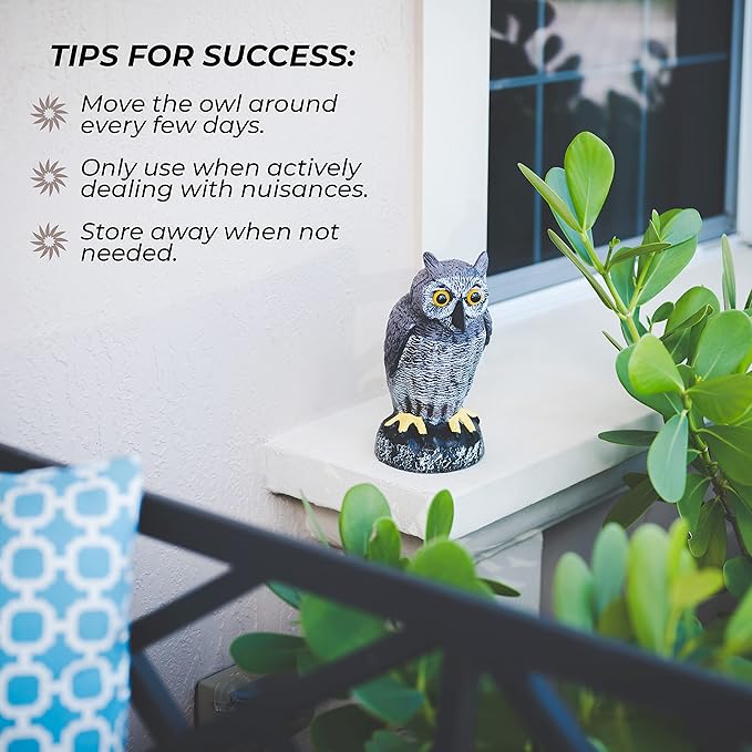 Galashield Owl Decoy | Plastic Owls to Scare Birds Away | Owl Statue for Garden & Outdoors - Pack of 3