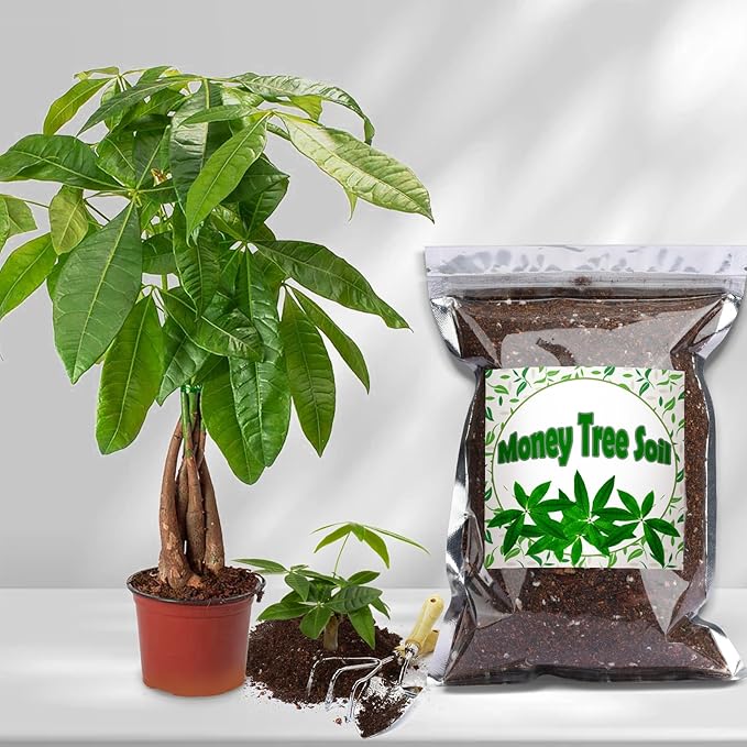 Organic Money Tree Soil Mix 10qt, Indoor Plants Potting Mix for All Potted Money Tree, Grow Healthy houseplants Indoors