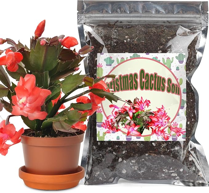 Christmas Cactus Potting Soil Mix 1qt, Ideal for Succulents, Christmas Cacti, and Other Indoor Potted Plantings