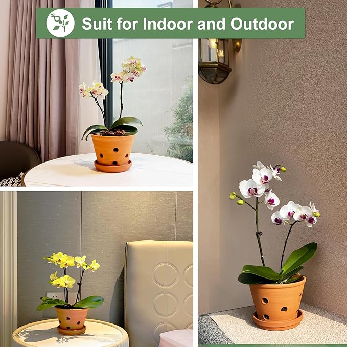8 inch Terracotta Orchid Pots with Holes and Saucers, 2 Pack Clay Orchid Planter Pots for Repotting, Large Terra Cotta Orchid Pot, Plant Flower Pots for Orchid Indoor Outdoor Promotes Air Circulation
