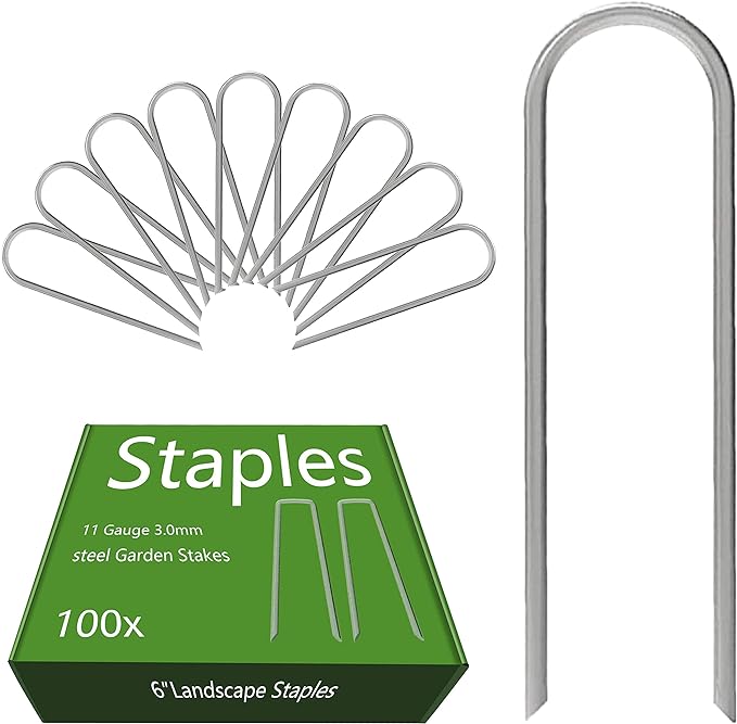 AAGUT Garden Staples 6 Inch Galvanized 100 Pack Round-Top Drip Hose Stakes Irrigation Hooks Heavy Duty 11 Gauge Lawn U Pins Sod Nails for Landscape Fabric, Soaker Hose, Chicken Wire, Dog Fence