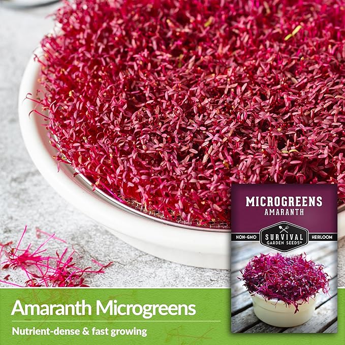 3 Packs Amaranth Microgreens Seeds for Planting and Growing - Plant Green Leafy Micro Vegetable Plants Indoors - Grow A Mini Windowsill Garden - Non-GMO Heirloom - Survival Garden Seeds