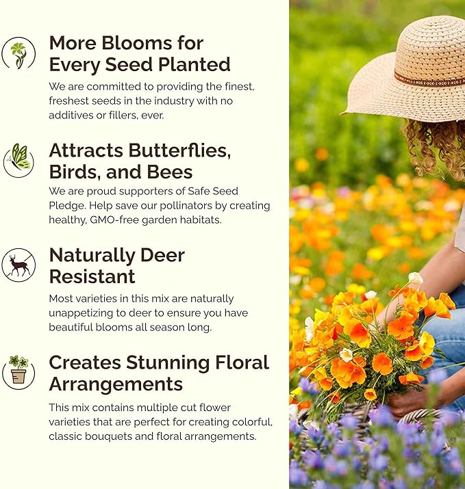 Eden Brothers Wyoming Wildflower Mixed Seeds for Planting, 1/4 lb, 120,000+ Seeds with Cornflower, Yarrow | Attracts Pollinators, Plant in Spring or Fall, Zones