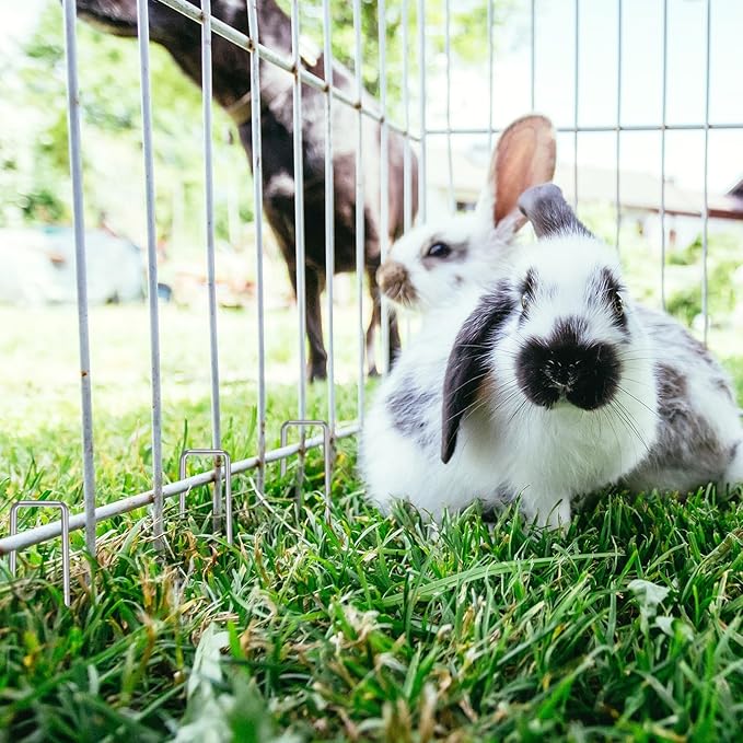 HongWay 100 Pack 6 Inch Landscape Staples Garden Stakes, Garden Staples 11 Gauge Galvanized U-Shaped Pins, Ground Fence Stakes Yard Lawn Staples for Securing Landscaping Fabric Irrigation Tubing