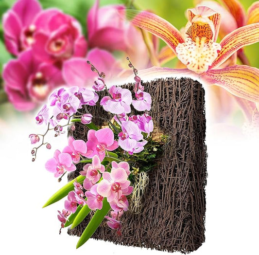 DUSPRO Tree Fern Fiber Board for Orchids, Aroids and Other Climbing Plants, 7.9 inches Staghorn Fern Mount