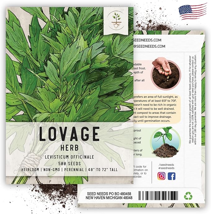 Seed Needs Lovage Seeds for Planting - Non-GMO, Heirloom & Untreated - Organically Grow Your own Medicinal/Culinary Herb Garden Indoors or Outdoors (2 Packs)