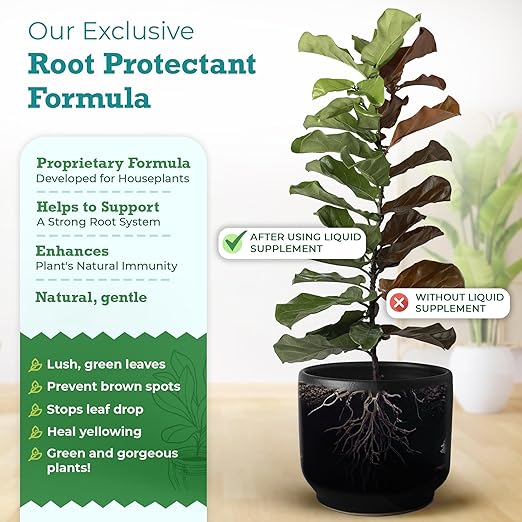 Root Supplement, Liquid Root Stimulator - for Fiddle Leaf Fig & Indoor Plants - Propagation Promoter, Root Rot Treatment - Food for Healthy Roots, Stems, & Leaves - 8 Oz