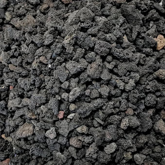 Black Lava Rocks for Plants Natural Horticultural Volcanic Rock (1/4" to 1/2" Size) (Mined in USA) (5-lb Bag)