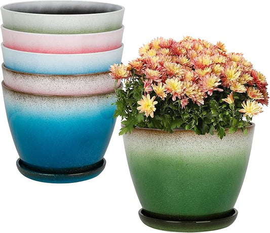 Worth Garden Plastic Round 8" Planters for Indoor Plants - Set of 6 Multicolor Small Gloss Flower Pots with Drainage Holes and Saucers - Home Decorative Christmas Containers