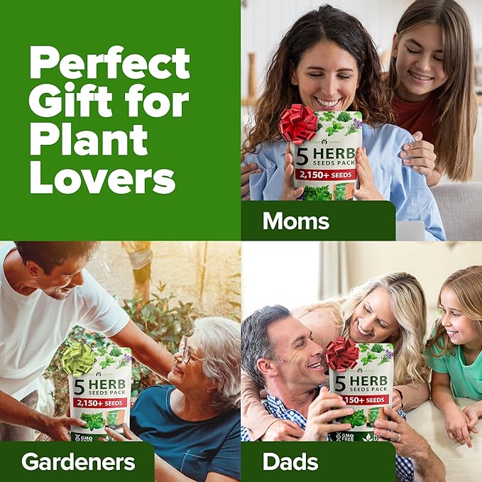 5 Herb Seeds Variety Pack - Culinary Herb Garden: Basil, Lavender, Cilantro, Parsley & Thyme Seeds for Planting Indoors/Outdoors 2000+ Non-GMO Heirloom Herb Seeds w/Bonus Markers & Grow Guide