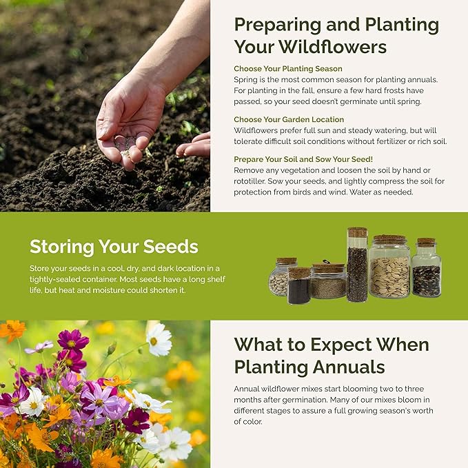 Eden Brothers Crazy for Cosmos Flower Mixed Seeds for Planting, 10 lb, 4,800,000+ Seeds with Cosmos Gloria, Pinkie, Purity, Attracts Pollinators, Plant in Spring or Fall, Zones 3, 4, 5, 6, 7, 8, 9, 10