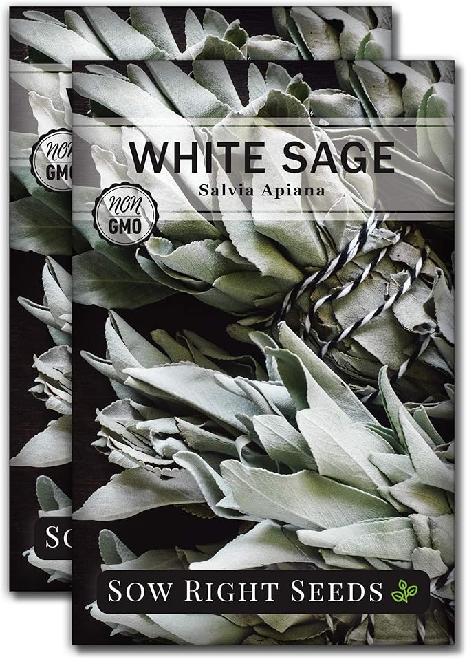 Sow Right Seeds - White Sage Seed for Planting - Non-GMO Heirloom Packet with Instructions for Planting and Growing a Home Herb Garden - Indoors or Outdoors - Make Your Own Herbal Incense (2)