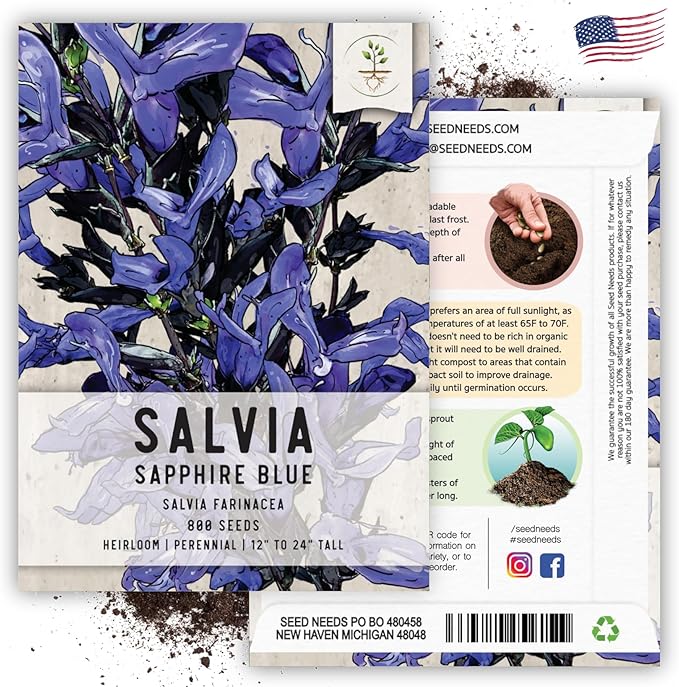 Seed Needs Sapphire Blue Sage Seeds for Planting - Heirloom & Open Pollinated Salvia - Grow a Butterfly Garden with Perennial Flowering Plants (2 Packs)