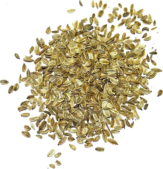 Seed Needs Lovage Seeds for Planting - Non-GMO, Heirloom & Untreated - Organically Grow Your own Medicinal/Culinary Herb Garden Indoors or Outdoors (1 Pack)