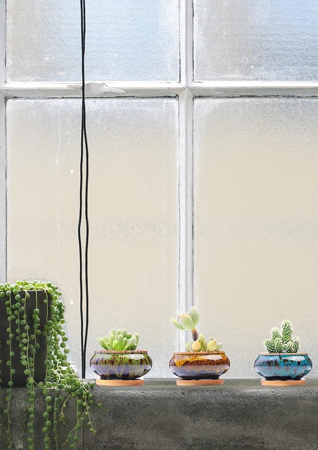 Cute Ceramic Succulent Garden Pots, Planter with Drainage and Attached Saucer, Set of 5 -Plants Not Included (Burner)