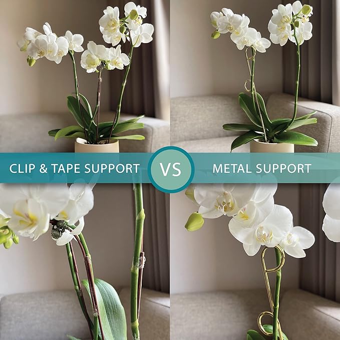 Small Metal Trellis for Indoor Plants Metal Plant Stake for Climbing House Plants Plant Support for Potted Plants Orchids, Monstera, Pothos, Ivy, Hoya, Philodendron Set of 4 (Simply Silver)