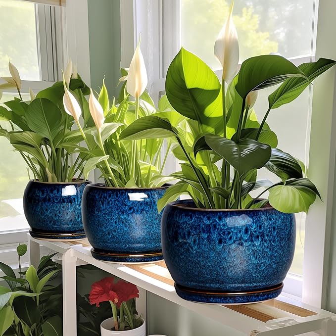 SQOWL Ceramic Planter 8 Inch - Pot for Indoor Outdoor Plants Round Ceramic Plant Pot with Drainage Hole and Saucer Modern Flower Pot Glazed Blue