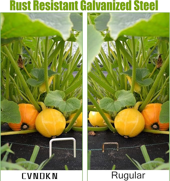 200 Pcs Garden Staples 6 Inch U-Shaped Landscape Staples,11 Gauge Heavy Galvanized Garden Staples are Suitable for Outdoor Fabric Irrigation Hoses, Artificial Turf Nails, Fixed Fences and Tents.