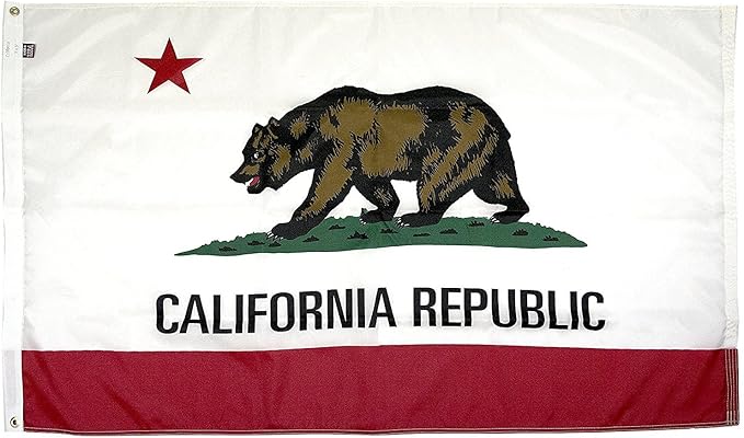 FlagSource California Nylon State Flag, Made in the USA, 5x8'
