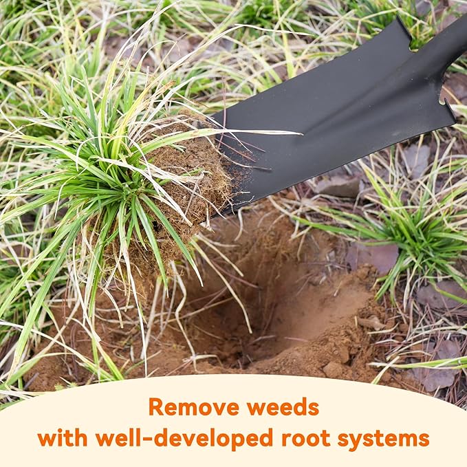 Drain SpadeShovel, Garden Spade Shovels for Digging Heavy Duty, Trenching,Planting,Transplanting,Metal Y-Grip,Wooden Handle,45Inch