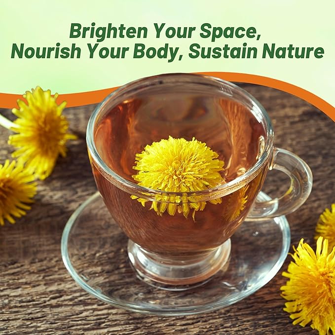 Outsidepride 5000 Seeds Perennial Taraxacum Officinale Dandelion Herb Garden Seeds for Planting