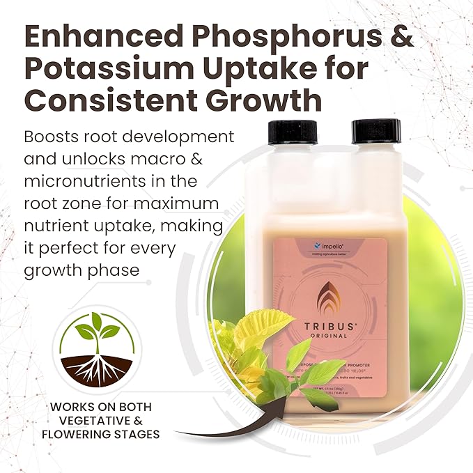 Tribus Organic Microbial Inoculant – Root Booster for Plants, Increases Plant Yield, Root Growth, Flower & Fruit Quality. Bloom Booster. Visible Root Growth in 24Hrs. Liquid Color May Vary. 8.5 oz
