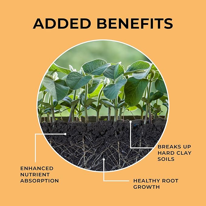 Mycelium Organic Coco Coir Brick 10lbs - Perfect for Potting & Planting, OMRI Certified, Eco-Friendly Soil Mix, Ideal for Indoor Plants, Orchids, Succulents, Cacti and Vegetable Gardening