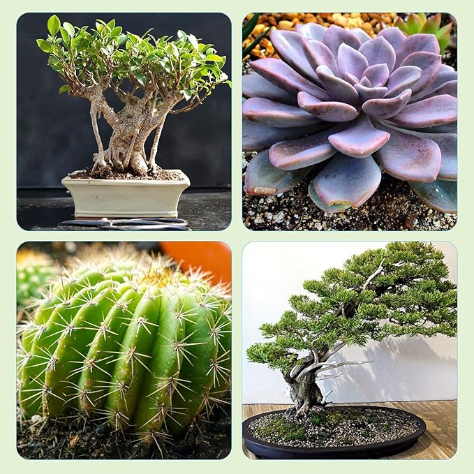 Bonsai Soil Mix Ready to Use (1qt), Premium Fast Draining Organic All Purpose Potting Mix for All Varieties of Bonsai