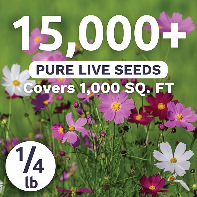 Cosmos Sensation Mix - Bulk 1/4 Pound Pouch - 15,000 Flower Seeds for Planting - Cosmos bipinnatus