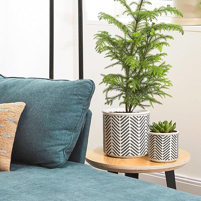 T4U Ceramic Planters for Indoor Plants, 4.2+5.4+6 Inch Plant Pots Set, Flower Pots with Drainage Holes and Plug, Ceramic Plant Pot for Indoor and Outdoor Plants, Morden Home Decor, Gifts for Mom