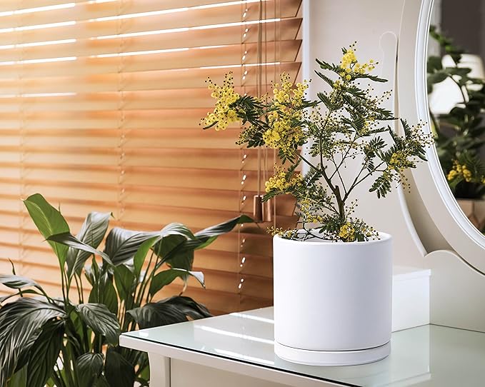 D'vine Dev Set of 2 Plants Pots, 8 Inch Ceramic Planter Pot for Plants with Drainage Hole and Saucer, White, 94-V-D-1